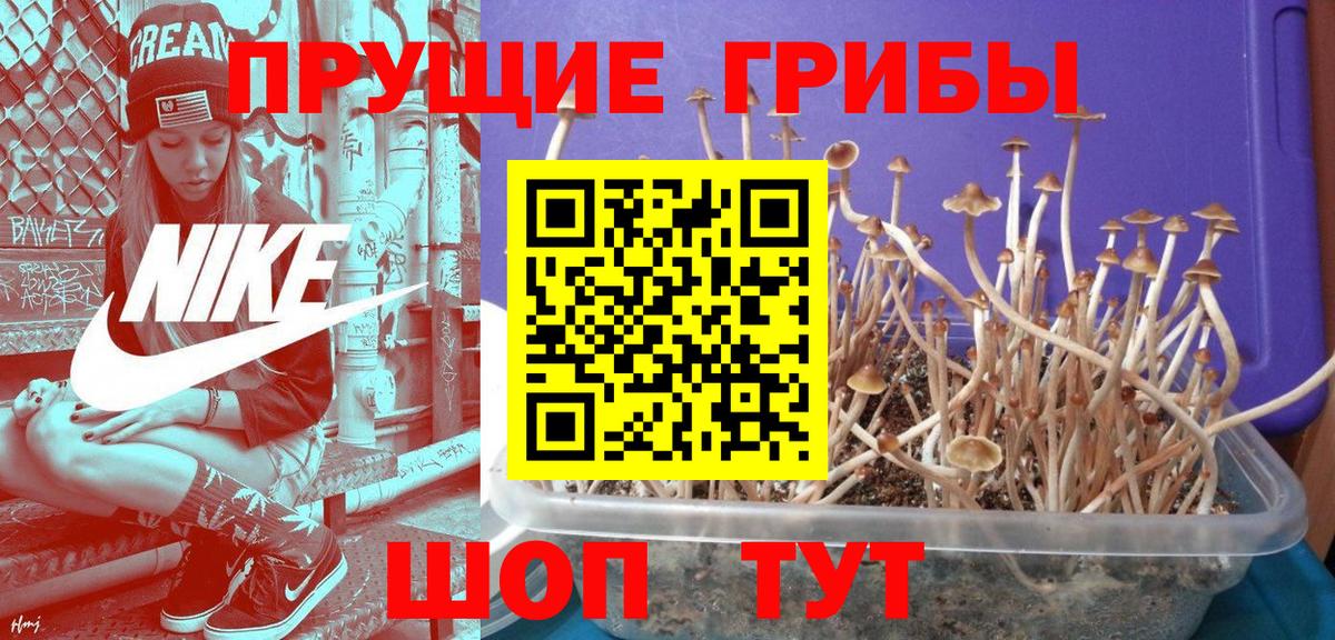 Галлюциногенные грибы мухоморы Омск